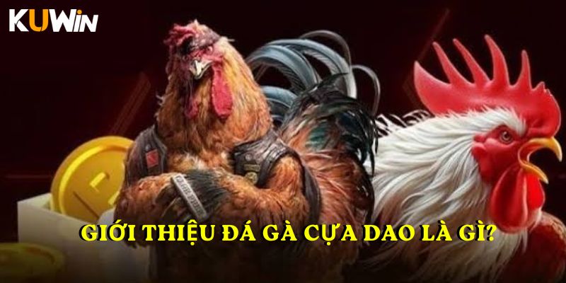 Giới thiệu Đá gà cựa dao là gì?